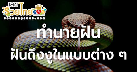 ฝันว่างูกัด รวมคำทำนาย โดนงูกัดขา โดนงูกัดแขนขวา สื่อถึงอะไร