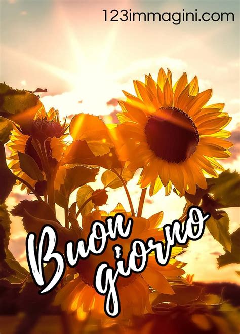 le fate del sole buongiorno immagini Nuove* gratis per whatsapp