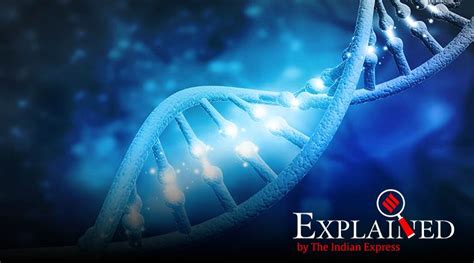 Explained What Is Genome Mapping Explained News The Indian Express