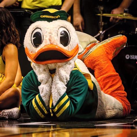 Puddles Having A Great Time During March Madness Oregon Ducks