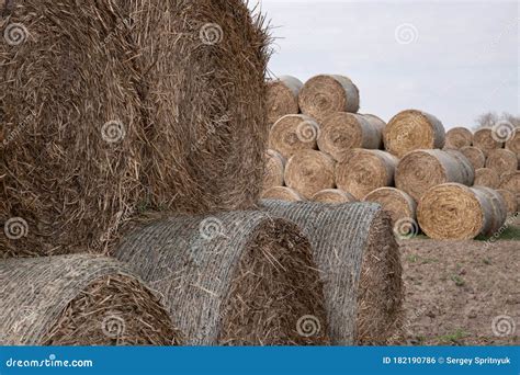 Bales Of Straw Stacked Into Pyramids Stock Photo Image Of Straw