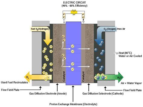 Schematic View Of Hydrogen Fuel Cell Download Scientific Diagram