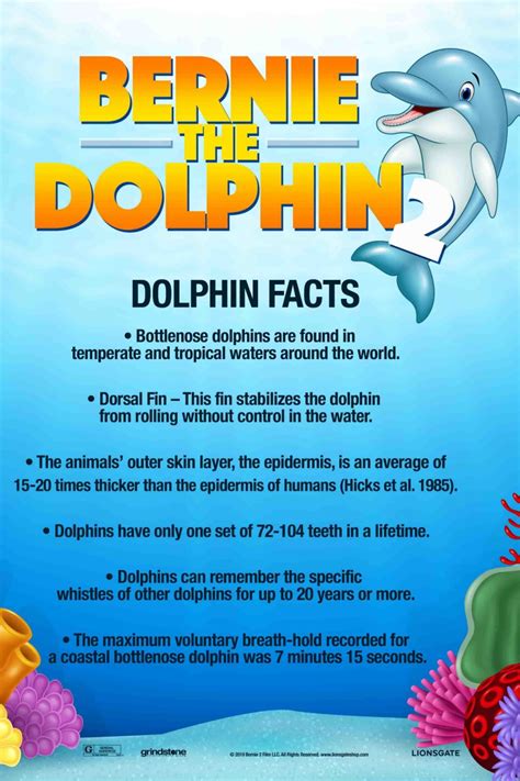 Dolphin Facts For Kids Printable