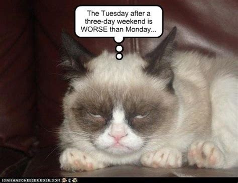 16 Best Images About Day Tuesday Is The New Monday On Pinterest