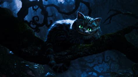 Hd Wallpaper Alice In Wonderland Cat Cheshire Cat Wallpaper Flare
