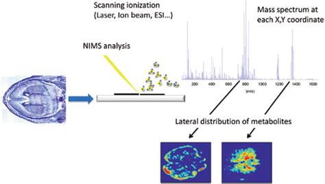 Machine Learning Applications For Mass Spectrometry Based Metabolomics