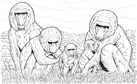 primate coloring pages