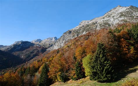 Download Wallpaper 3840x2400 Mountains Trees Slope Autumn Landscape