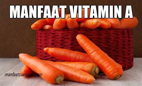 √ Manfaat Vitamin A Untuk Tubuh Manusia Manfaatcaranyacom