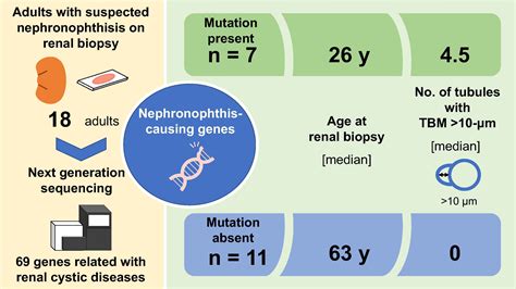 Finding Clues To Nephronophthisis In Adults｜tokyo Medical And Dental