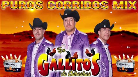 Los Gallitos De Chihuahua ~ Corridos Y Rancheras 2023 ~ Mix Para