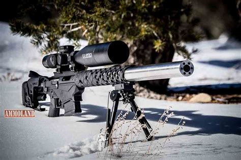 Witt Machine And Tool Integrally Suppressed Ruger Precision Rifles