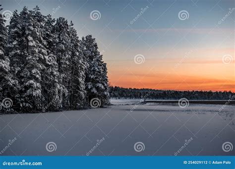 Sunset In A Scandinavian Taiga Forest In Winter Time Stock Photo