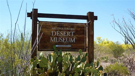 Desert Museum Tucson Az Sonora Desert Desert Plants Tucson