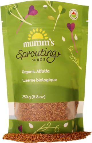 Sandwich Booster Sprouting Seeds Mumms Large Size 250 Grams