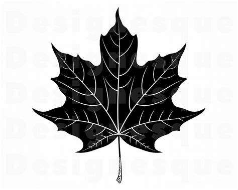 Maple Leaf Svg Leaf Svg Autumn Svg Maple Leaf Clipart Etsy