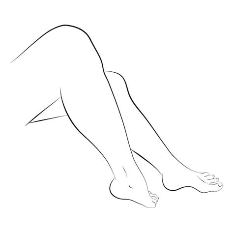 Premium Vector Vector Illustration Of Woman S Legs