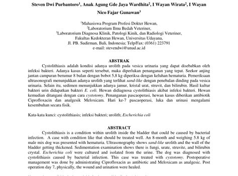 Aktivasi sistem saraf simpatik meningkatkan reabsorpsi. Jurnal Sistem Urinaria - Pdf Anatomi Dan Fisiologi