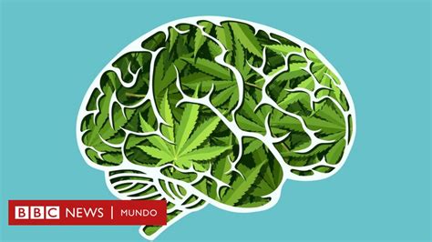 Cómo El Consumo De Marihuana Afecta Nuestra Mente Según Nuevos