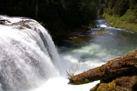 Lewis River Waterfalls Hike Hiking In Portland Oregon And Washington