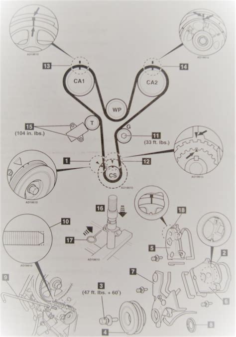 2002 Honda Accord Belt Diagram