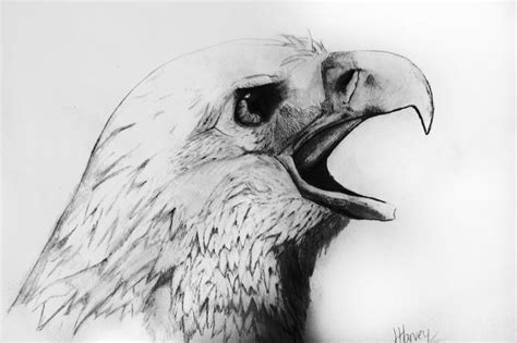 40 Beautiful And Realistic Animal Sketches For Your Inspiration