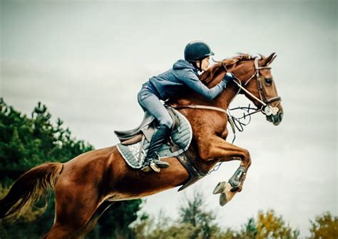 Girl Jumping With Horse 54ka Photo Blog