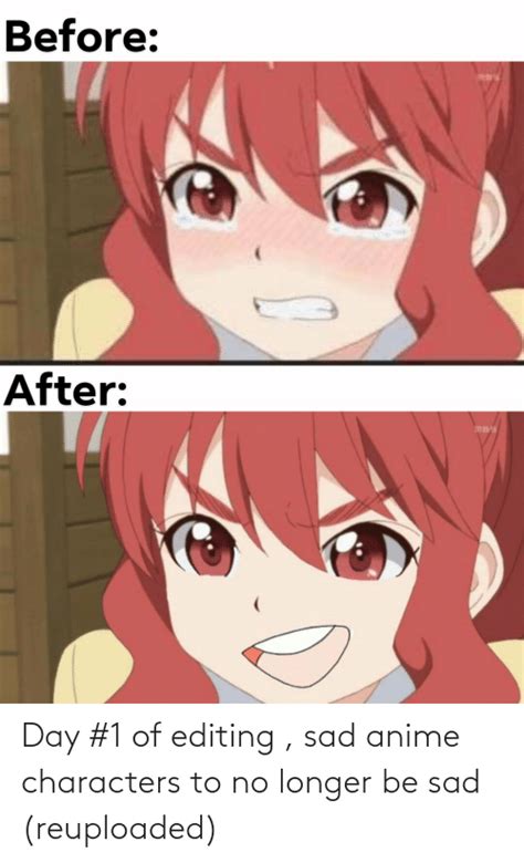 Sad Anime Pfp Meme Changes More Dodododo In 2020 Anime Images