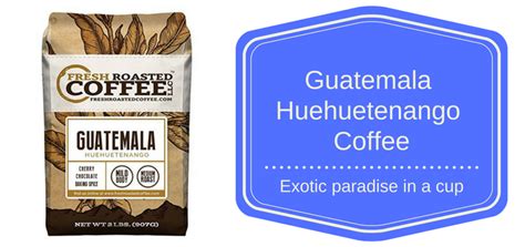 Pch offers fun quizzes on a wide range of topics. Guatemala Huehuetenango Coffee Review - Exotic paradise in ...