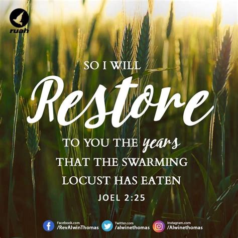 So I Will Restore To You The Years That The Swarming Locust Has Eaten