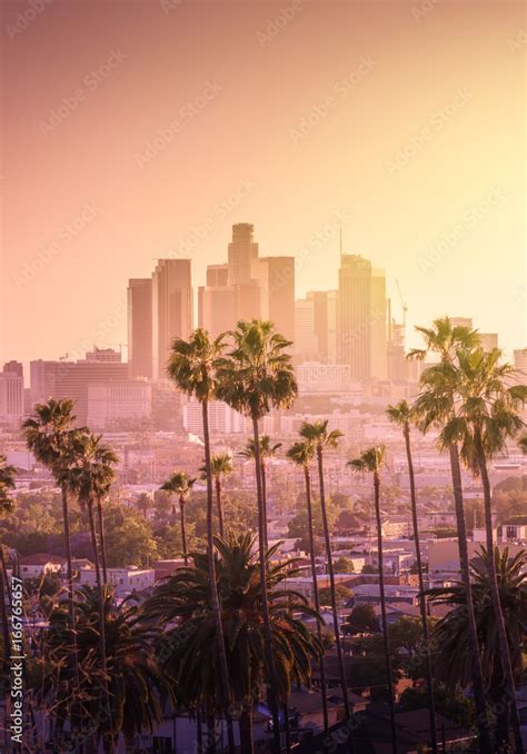 Beautiful Sunset Of Los Angeles Downtown Skyline And Palm Trees In