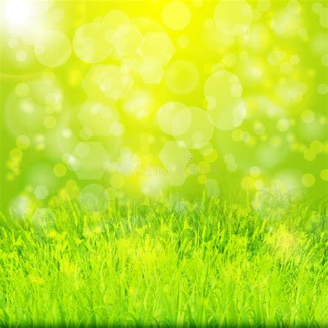 Summer Background With Green Tree Grass And Brick Wall Stock Vector