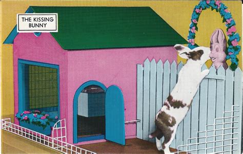 Arcane Arkansas History: I.Q. Zoo- More than just training animals for