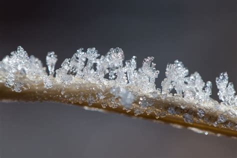 Free Images Winter Frost Ice Clothing Jewellery Tiara Freezing