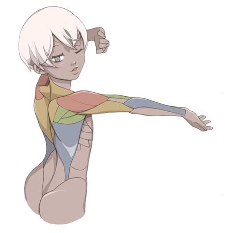 Back Muscles Drawing Reference Female Mrfoobars Deviantart