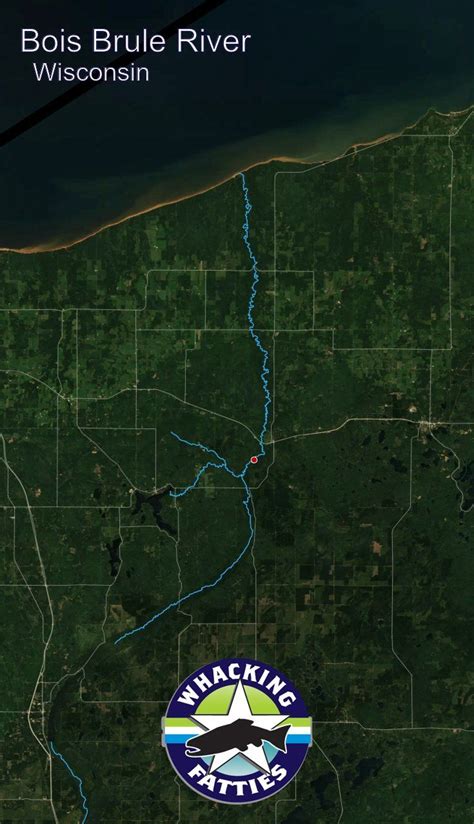 Bois Brule River Fishing Report | Fishing report, Trout fishing tips