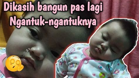 Perkembangan bayi 5 bulan yang harus orang tua tahu. Perkembangan Bayi 5 bulan Lucu -GEMESIN!!!! - YouTube