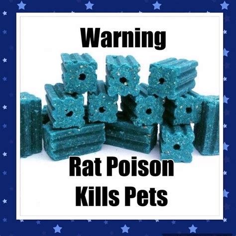 Warning: Rat Poison is Deadly For Pets | Holistic Vet and Pet Nutrition