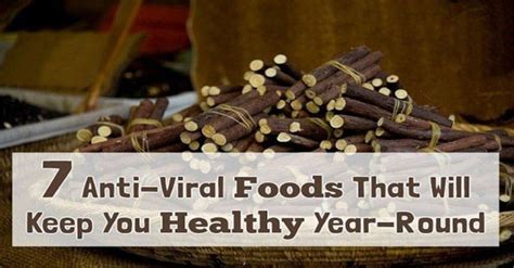 Antivirals a short historical view on antiviral research and therapies lessons learned from recent viral. 7 Anti-Viral Foods that Will Keep You Healthy Year-Round
