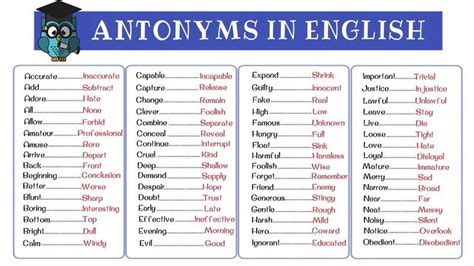Antonym 120 Common Antonyms In English From A Z Opposites List Part Learn English