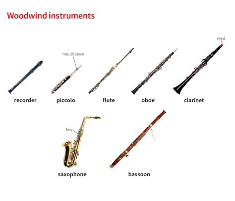 What Are The Two Groups Of Woodwind Instruments Called