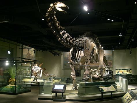 Dinosaurs Of The Field Museum — Part 1 Extinct Monsters