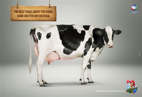 The Farm Cow Ads Of The World Part Of The Clio Network