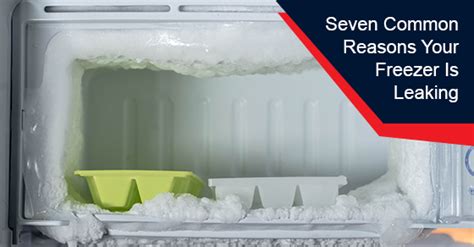 Seven Common Reasons Your Freezer Is Leaking Prime Appliance Repairs