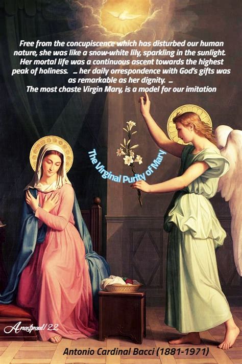 Thought For The Day 6 May The Virginal Purity Of Mary Anastpaul