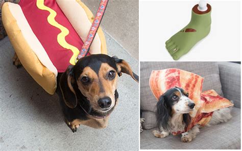 Barkshop Halloweenie Collection Featuring Zombies Bacon And More