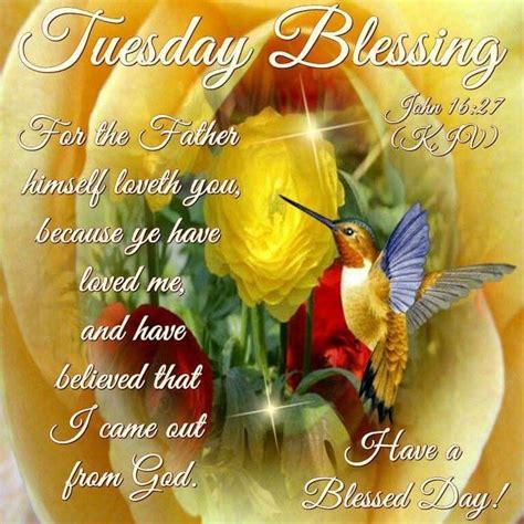Tag @tuesdaymorning & use #tuesdaymorningfinds to let us know what you love! Tuesday Blessings Pictures, Photos, and Images for ...