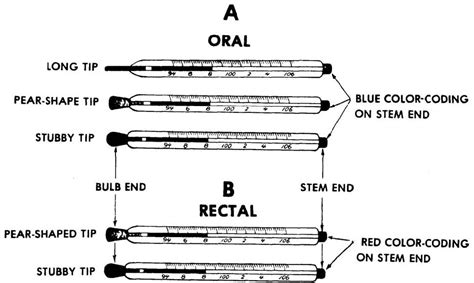 215 What Is The Difference Between An Oral Thermometer And A Rectal