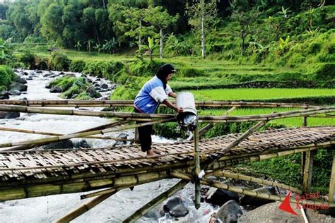Penyebab Banjir