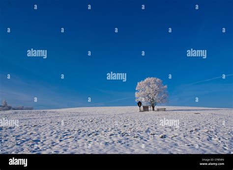 Stetten Germany Hi Res Stock Photography And Images Alamy